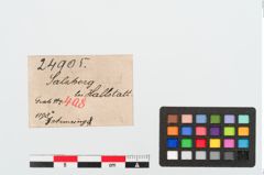 Etiketten zu Bronzearmreif (NHMW-PRAE-024905)